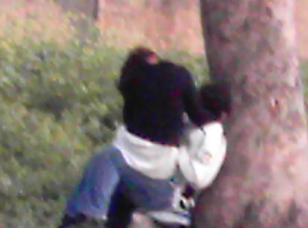 zaytouna o popay
